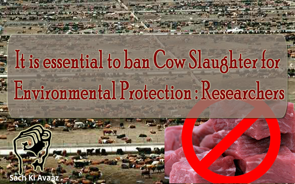 save environment, Beef ban