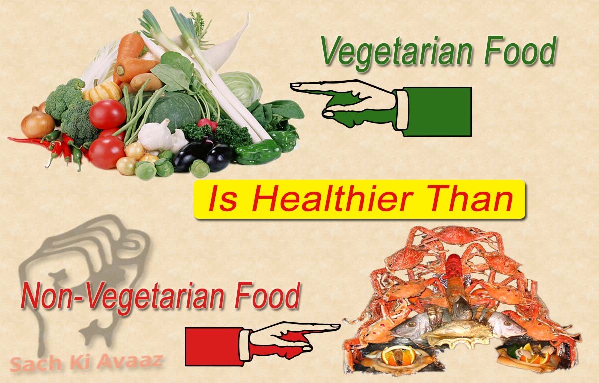 vegetarian vs non vegetarian essay in hindi